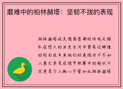 磨难中的柏林赫塔：坚韧不拔的表现