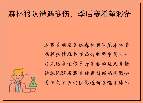 森林狼队遭遇多伤，季后赛希望渺茫