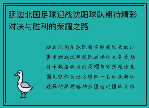 延边北国足球迎战沈阳球队期待精彩对决与胜利的荣耀之路