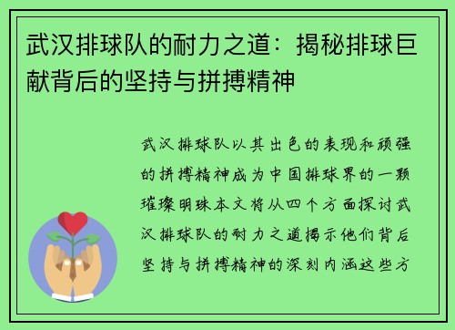 武汉排球队的耐力之道：揭秘排球巨献背后的坚持与拼搏精神